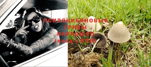PSILOCYBIN Беломорск