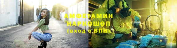 стаф Бородино