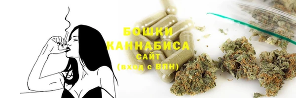 стаф Бородино