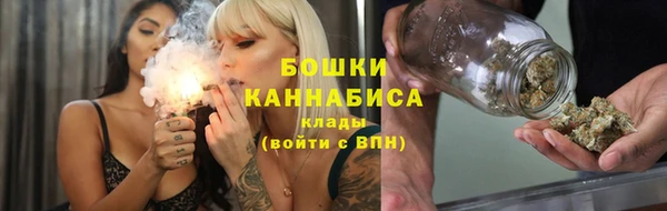 бошки Бронницы