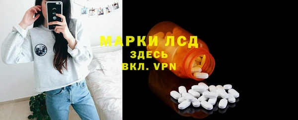 стаф Бородино