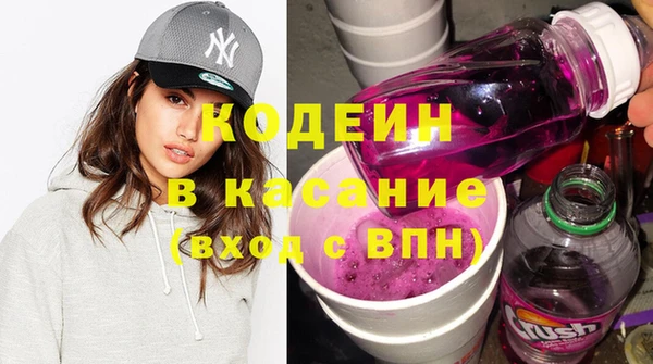 стаф Бородино