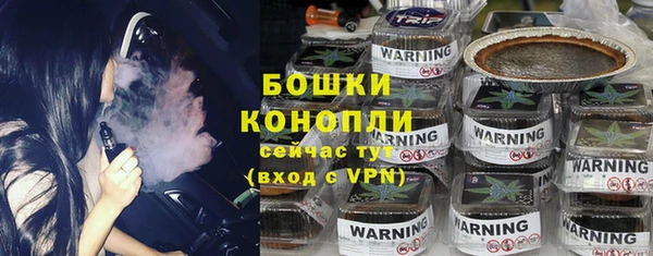 бошки Бронницы