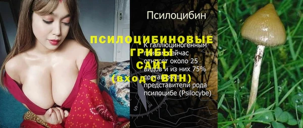 стаф Бородино