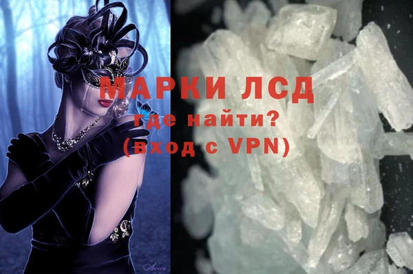 стаф Бородино