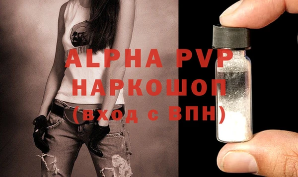 стаф Бородино
