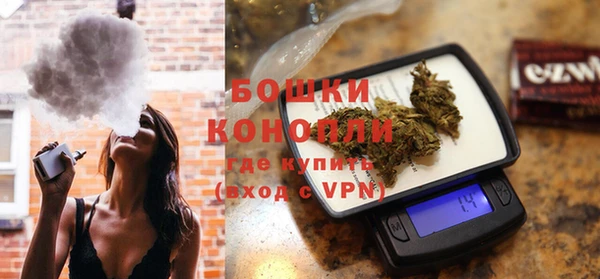 бошки Бронницы