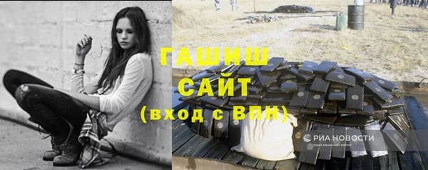 стаф Бородино