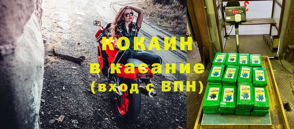 бошки Бронницы