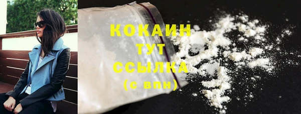 бошки Бронницы