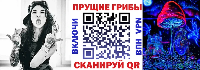 Псилоцибиновые грибы MAGIC MUSHROOMS  площадка Telegram  Дигора 
